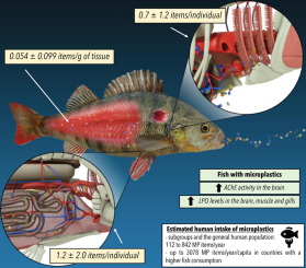 Concerns Over High Concentrations of Microplastic in Salt: Addressing Environmental Hazards