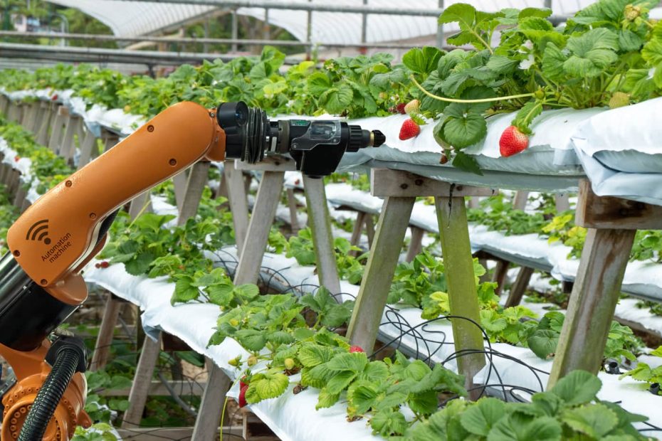 How Cultivation Technologies Changing Food Productions: Revolutionizing the Future of Agriculture